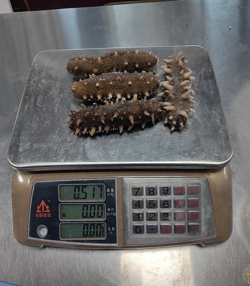 大连即食海参500克低价走量只卖海参不卖冰