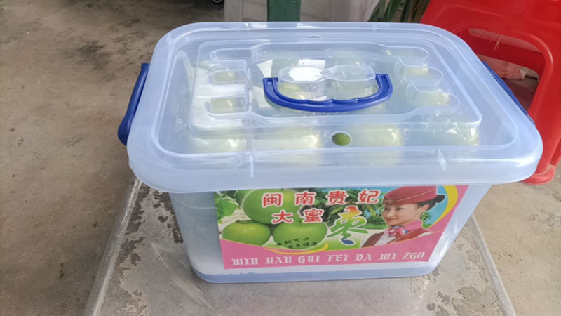 福建漳州云霄牛奶枣大量上市