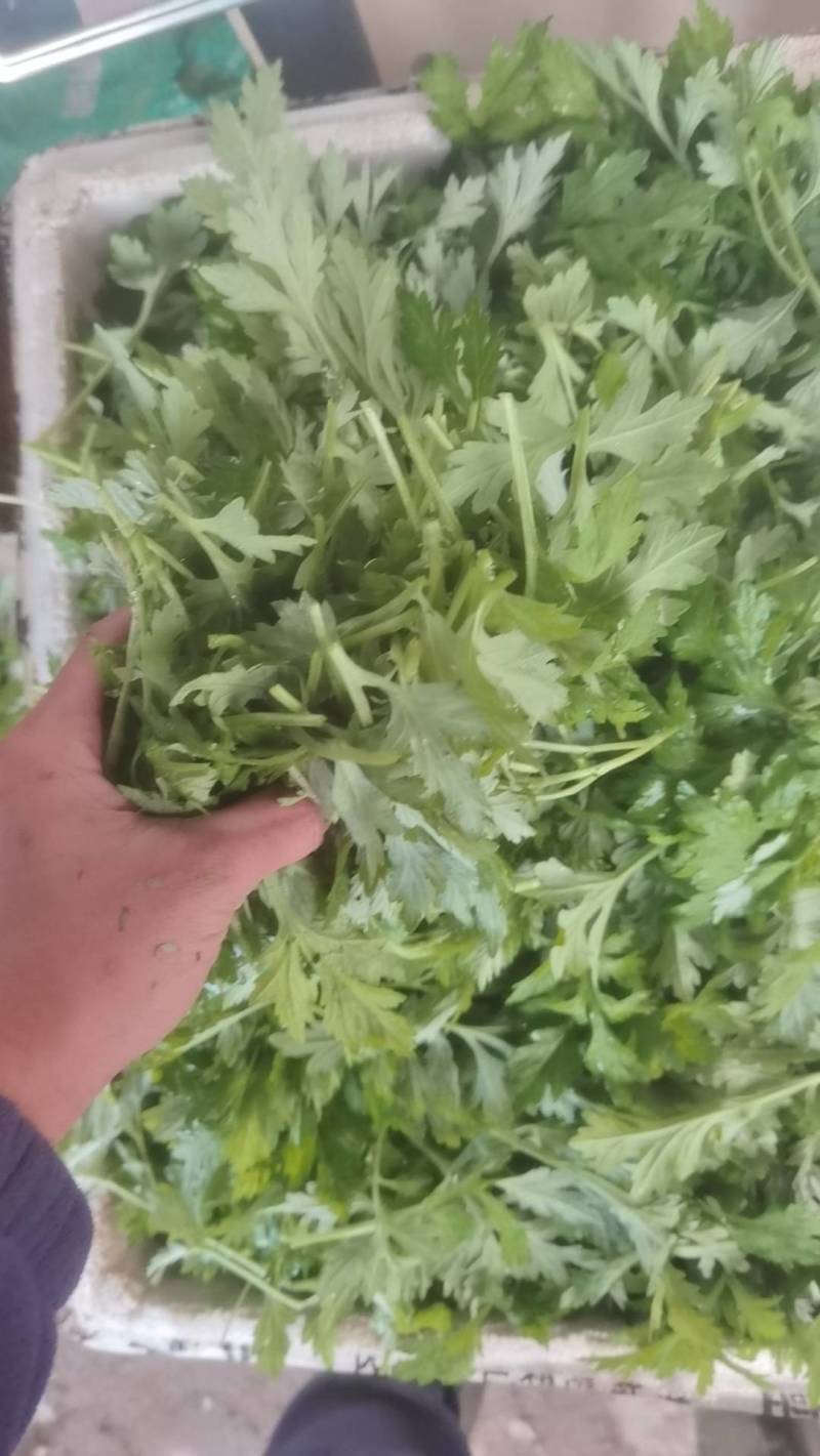 做艾粄的原材料，可食用艾草