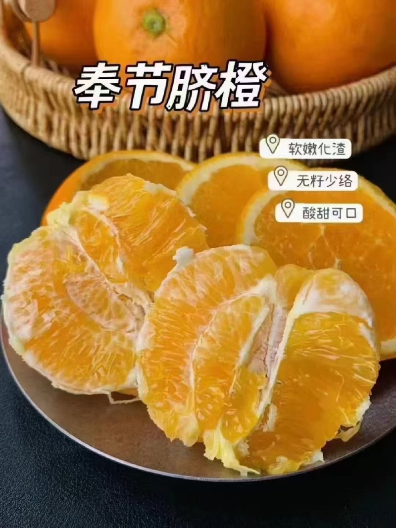 精品奉节脐橙一手货源全国发货量大价优欢迎随时联系