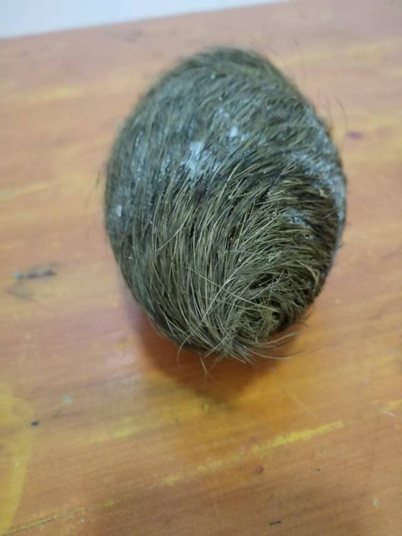 猪宝！自家杀年猪杀出来的！在云南大理弥渡县！有意者上门收