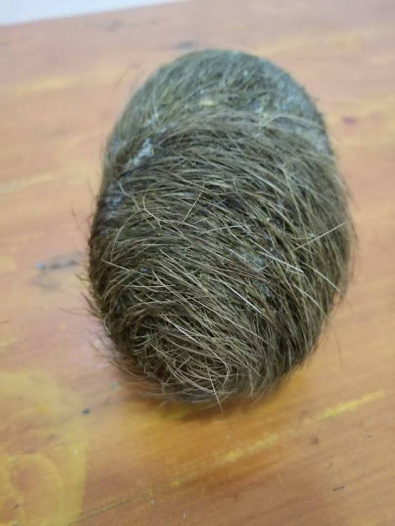 猪宝！自家杀年猪杀出来的！在云南大理弥渡县！有意者上门收