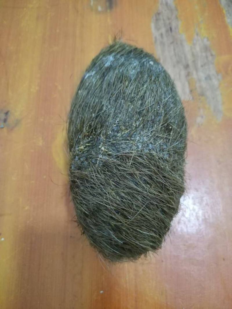 猪宝！自家杀年猪杀出来的！在云南大理弥渡县！有意者上门收