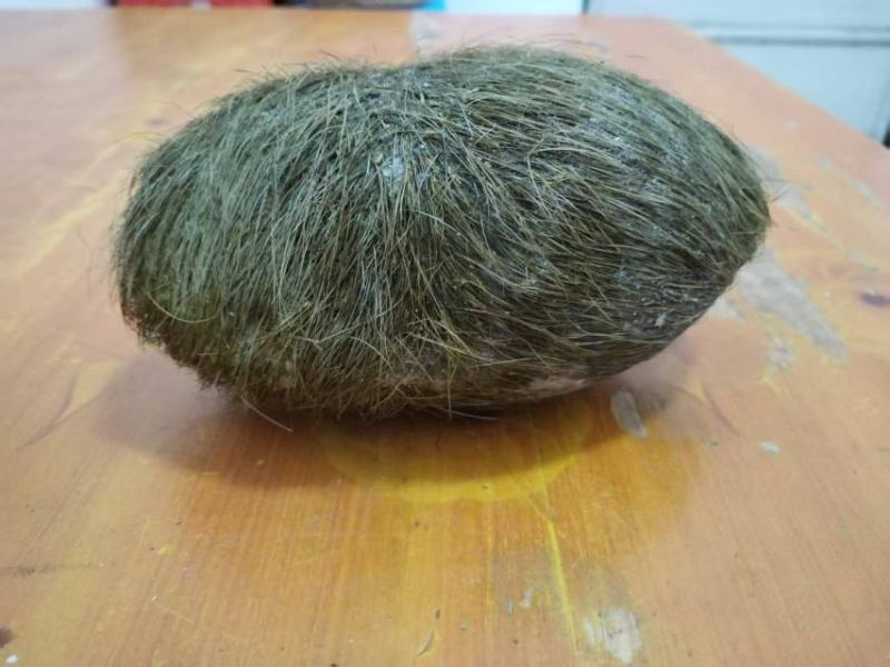 猪宝！自家杀年猪杀出来的！在云南大理弥渡县！有意者上门收