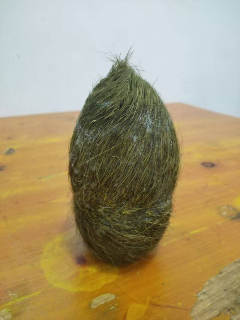 猪宝！自家杀年猪杀出来的！在云南大理弥渡县！有意者上门收