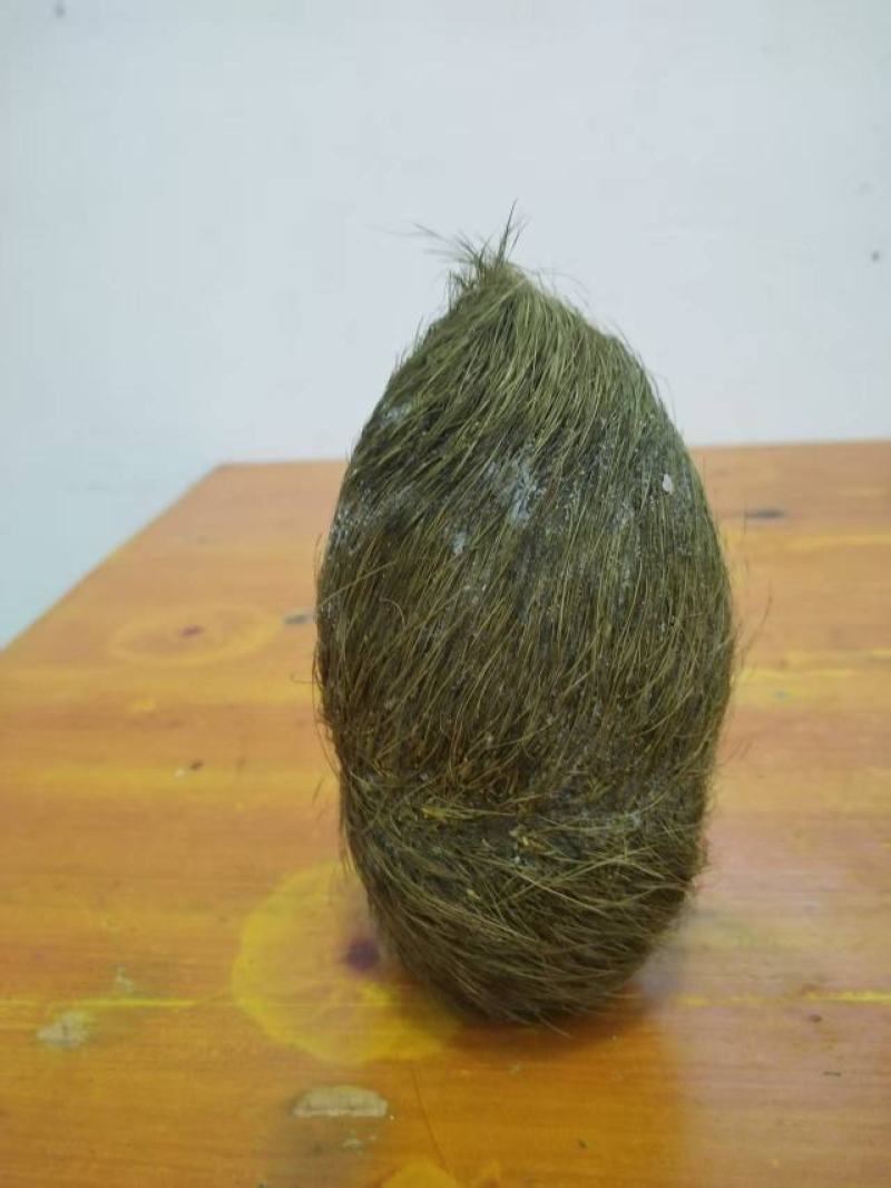 猪宝！自家杀年猪杀出来的！在云南大理弥渡县！有意者上门收