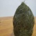 猪宝！自家杀年猪杀出来的！在云南大理弥渡县！有意者上门收