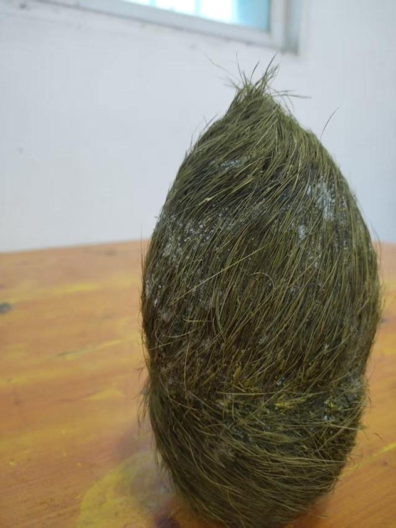猪宝！自家杀年猪杀出来的！在云南大理弥渡县！有意者上门收