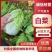 【平台力推】产地直发【诚实守信】颗颗饱满【量大从优】白菜