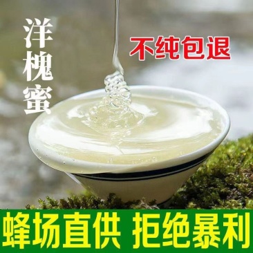 洋槐花蜜大量上市，全国发货，欢迎进店沟通。