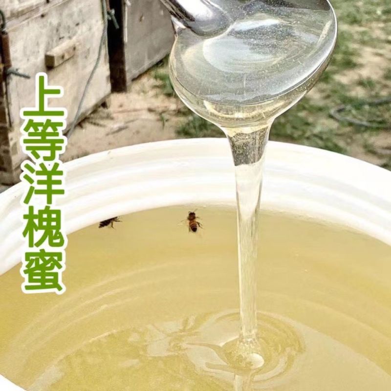 洋槐花蜜大量上市，全国发货，欢迎进店沟通。
