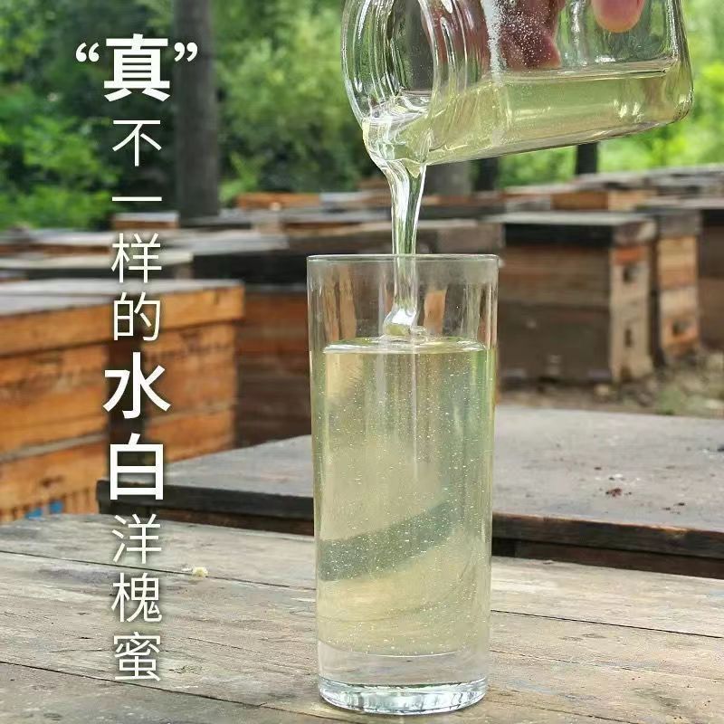 洋槐花蜜大量上市，全国发货，欢迎进店沟通。