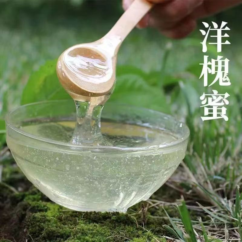 洋槐花蜜大量上市，全国发货，欢迎进店沟通。
