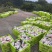四川春见耙耙柑大量上市对接全国市场电商商超团购