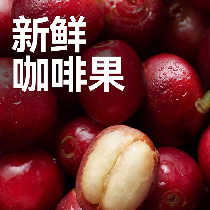 新鲜采摘全红果咖啡豆高海拔铁皮卡