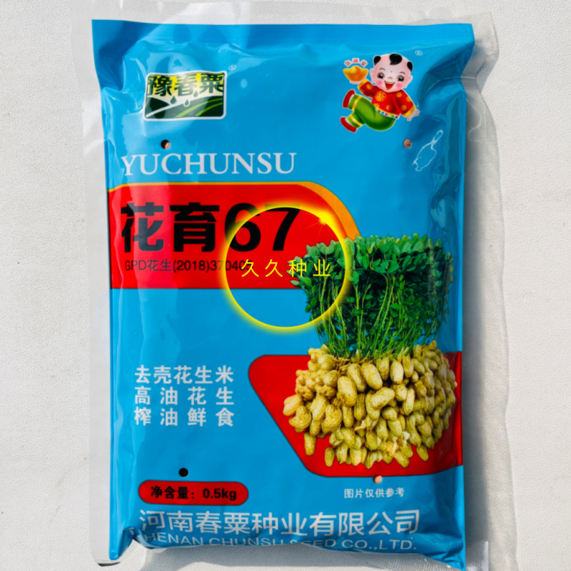 花育67花生种子高产高油矮株耐旱抗病抗倒伏农家春夏播种优
