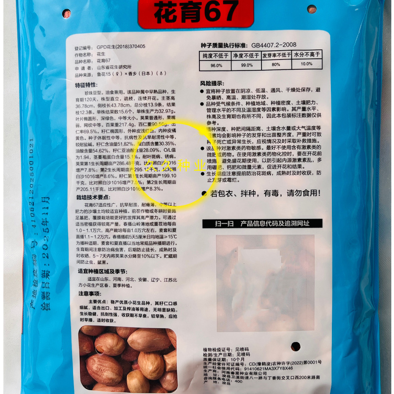 花育67花生种子高产高油矮株耐旱抗病抗倒伏农家春夏播种优
