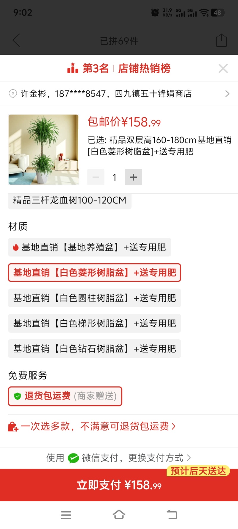 龙血树高杆两层电商可挂吉祥物花场发货