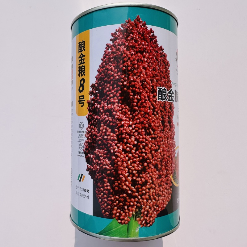 酿金粱8号高粱种子酿酒高粱酒香杂交高粱种子抗倒抗旱耐涝
