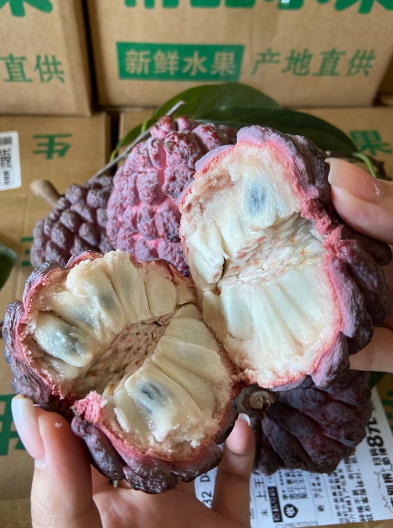 玫瑰释迦果
