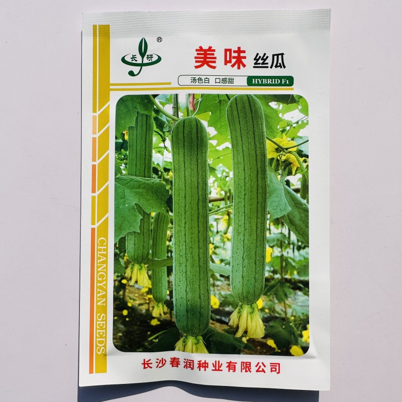 春润美味丝瓜种子高产早熟中长棒形丝瓜种子汤色白瓜味浓