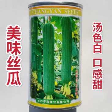 早优系列丝瓜种子美味丝瓜种籽早熟杂交高产丝瓜种子汤白味浓