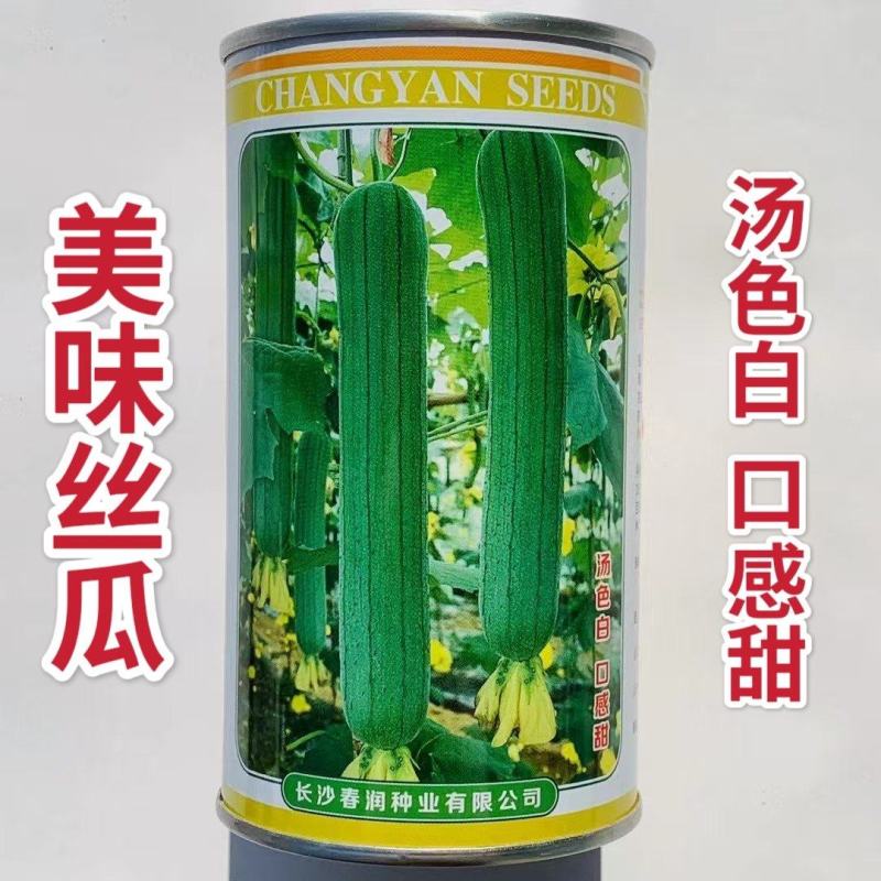 早优系列丝瓜种子美味丝瓜种籽早熟杂交高产丝瓜种子汤白味浓