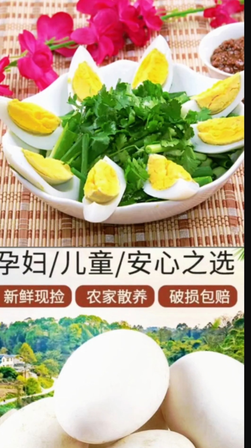东北萍姐土鹅蛋