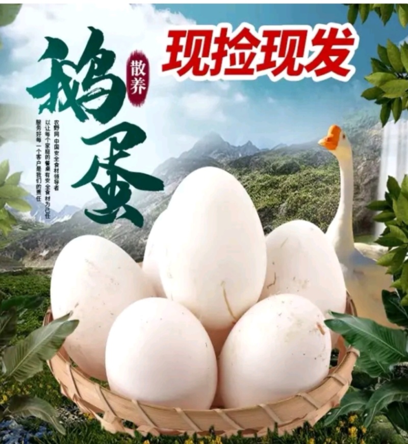 东北萍姐土鹅蛋