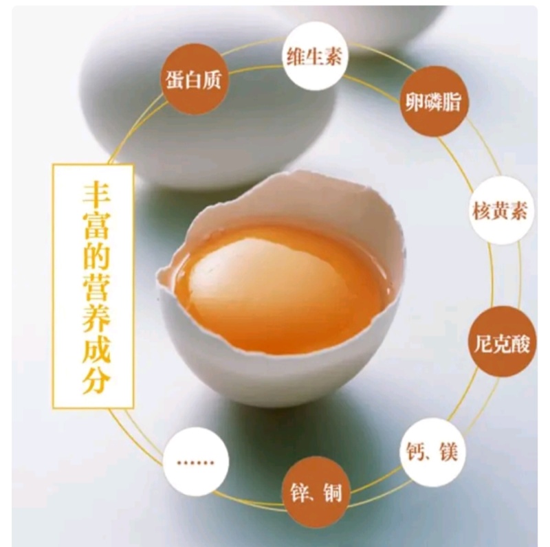 东北萍姐土鹅蛋