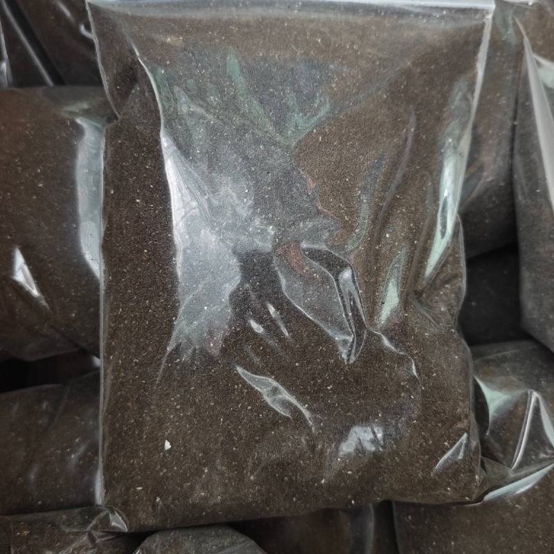 苦草种子虾蟹专用水草多年生扁担草种子鸭舌草水韭菜改良水质