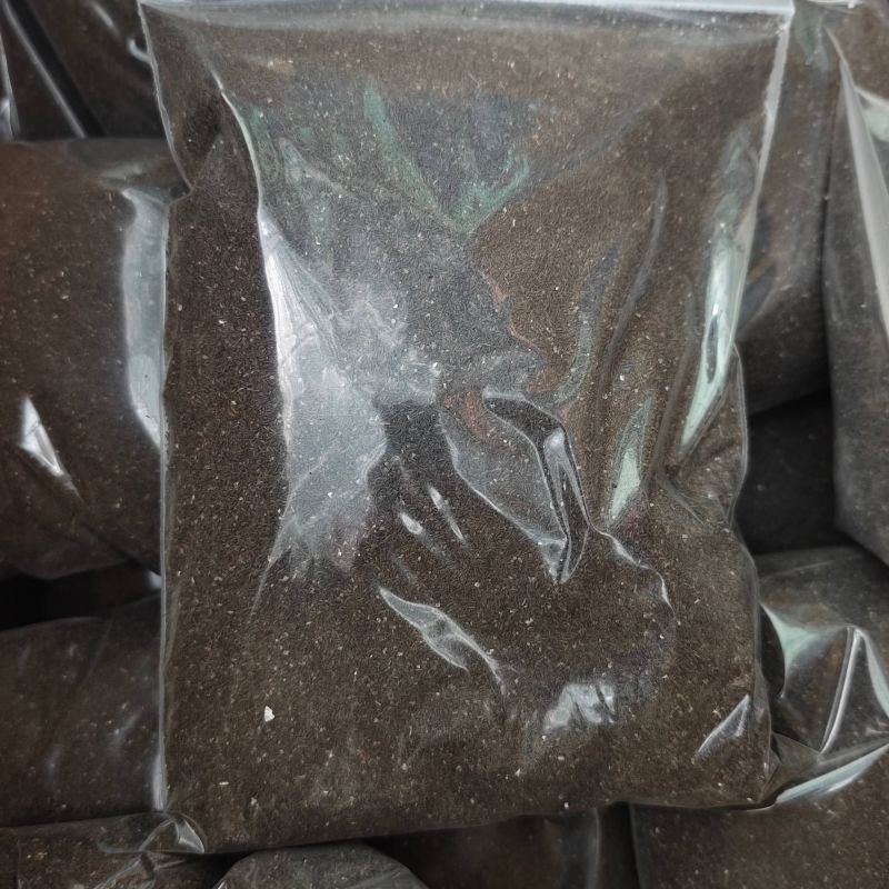 苦草种子虾蟹专用水草多年生扁担草种子鸭舌草水韭菜改良水质