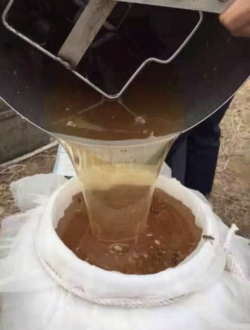 甘肃天水农家自养蜜蜂土蜂蜜
