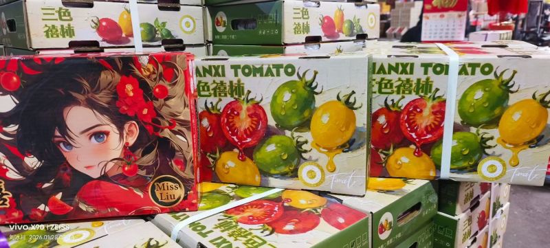 正宗电白千禧圣女果代办代发