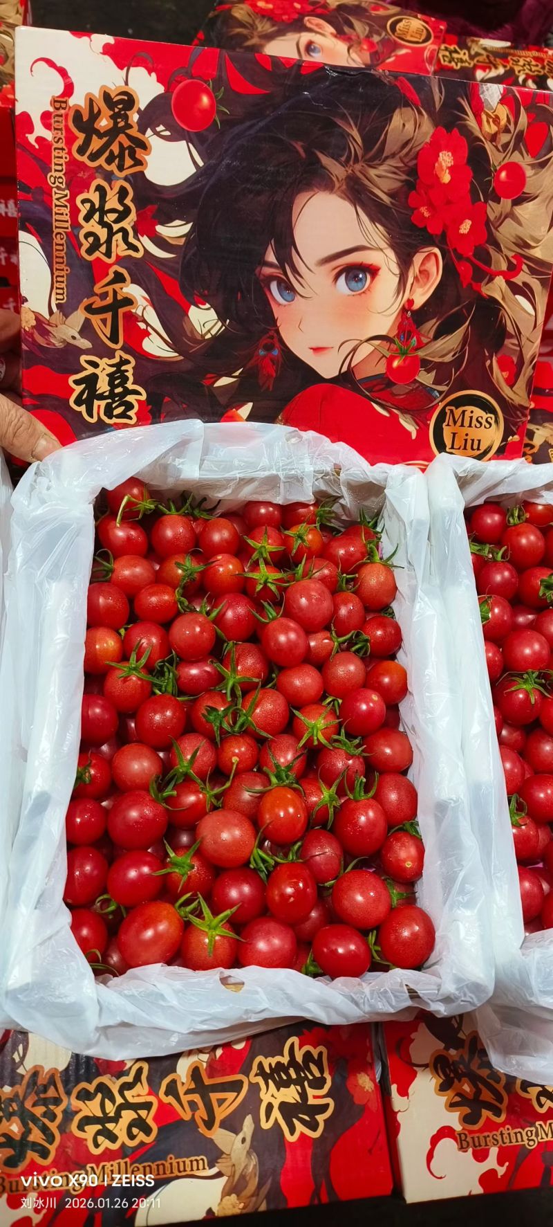 正宗电白千禧圣女果代办代发