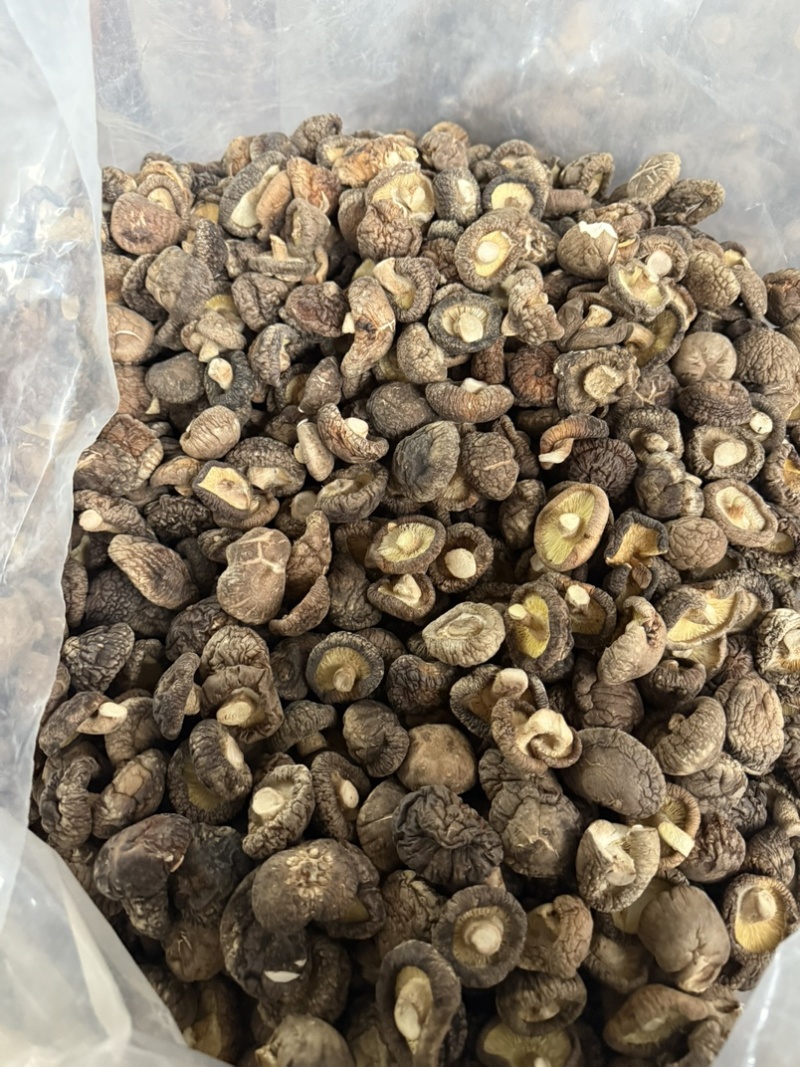 包邮精选干香菇3-4烘干剪脚常年供应全国发货