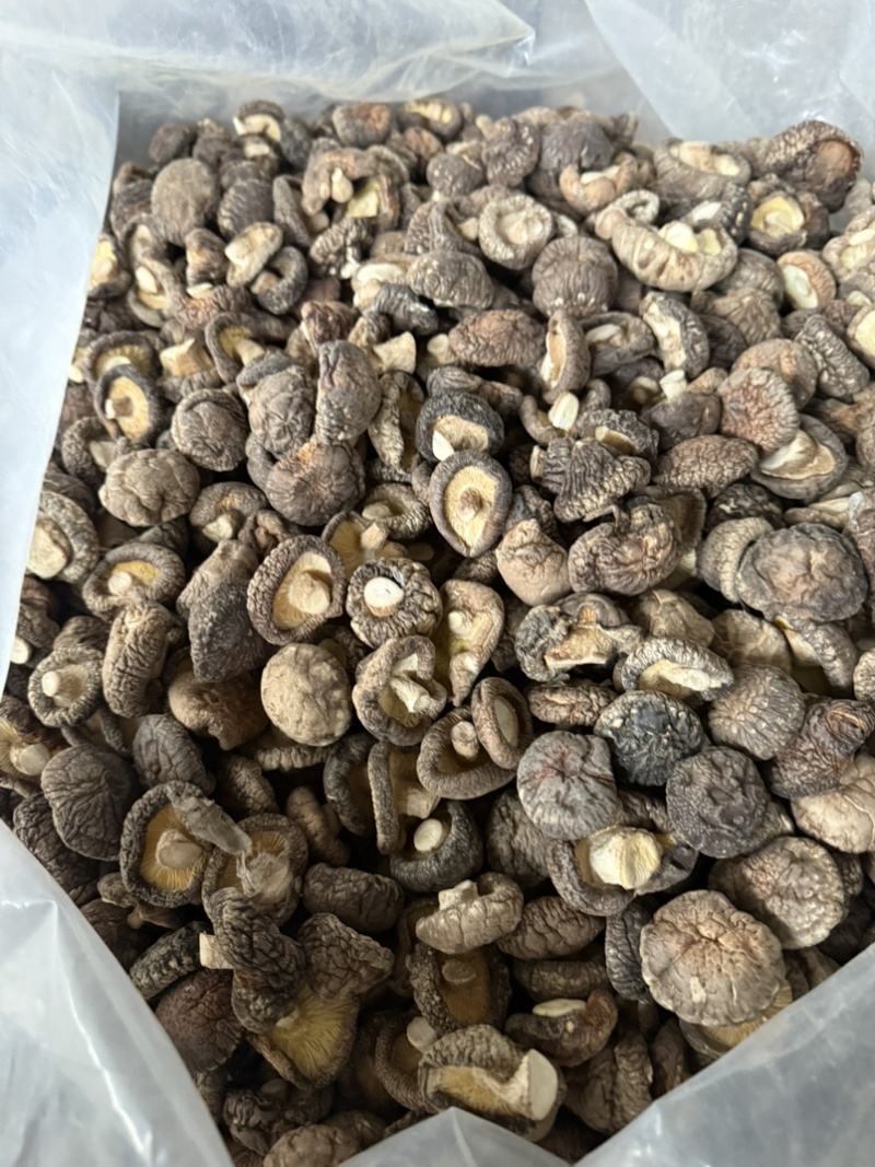 包邮精选干香菇3-4烘干剪脚常年供应全国发货