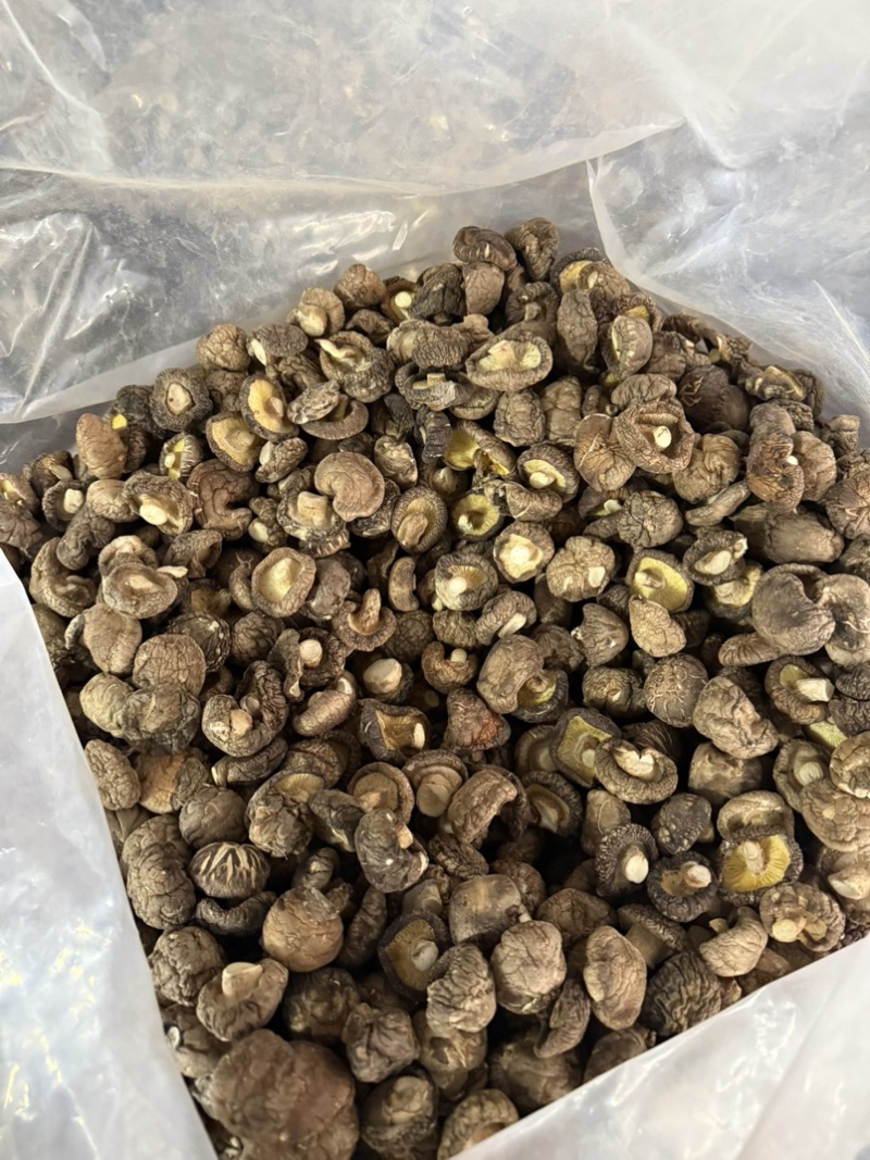 包邮精选干香菇3-4烘干剪脚常年供应全国发货