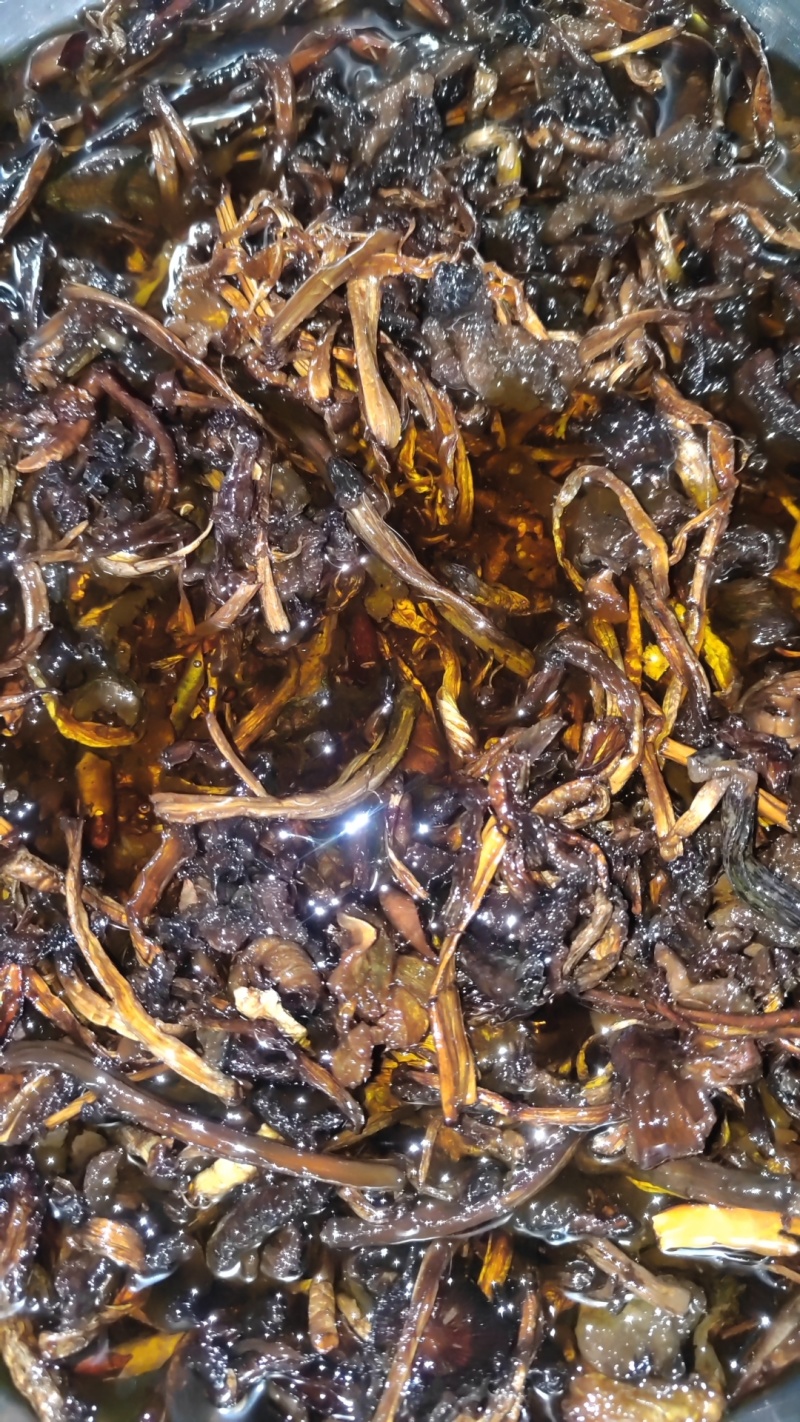 火把鸡枞，黑鸡枞，鸡枞油，油鸡枞500克一瓶装