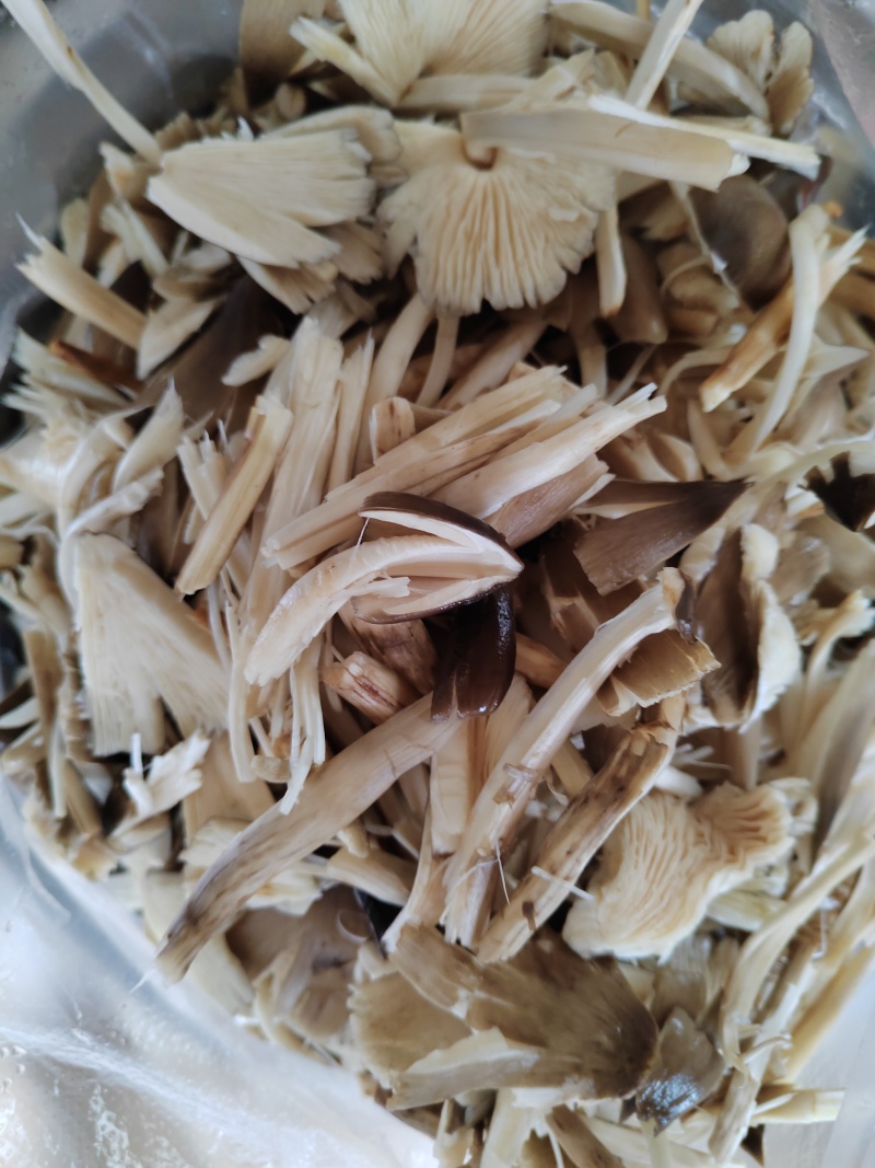 火把鸡枞，黑鸡枞，鸡枞油，油鸡枞500克一瓶装