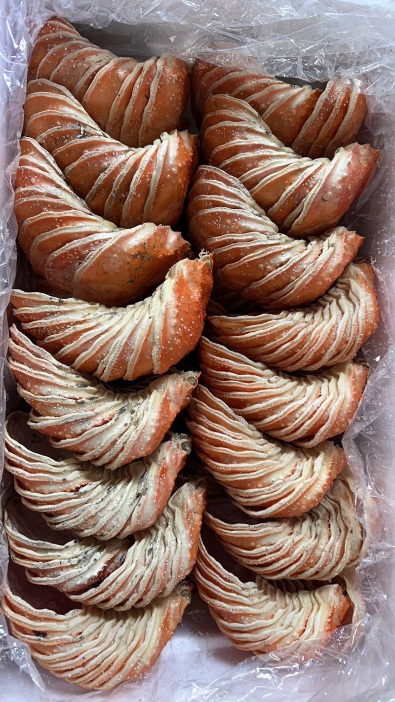 蟹壳，鳕蟹壳，帝王蟹壳，红蟹壳批发