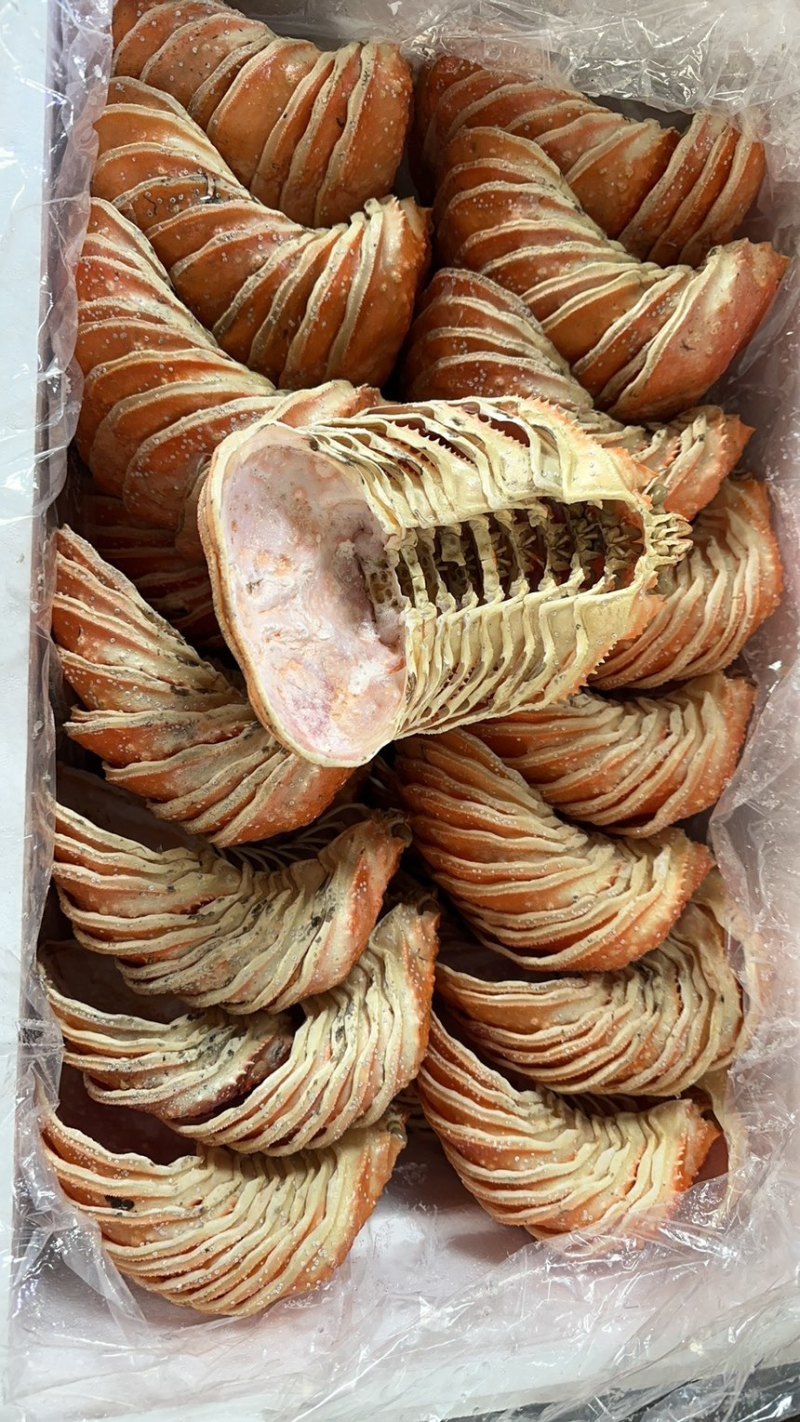 蟹壳，鳕蟹壳，帝王蟹壳，红蟹壳批发