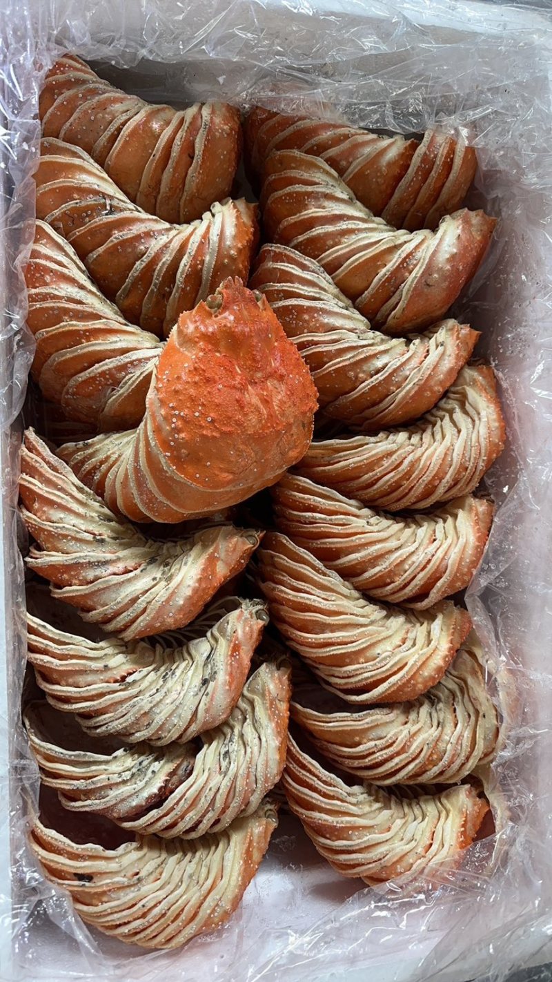 蟹壳，鳕蟹壳，帝王蟹壳，红蟹壳批发