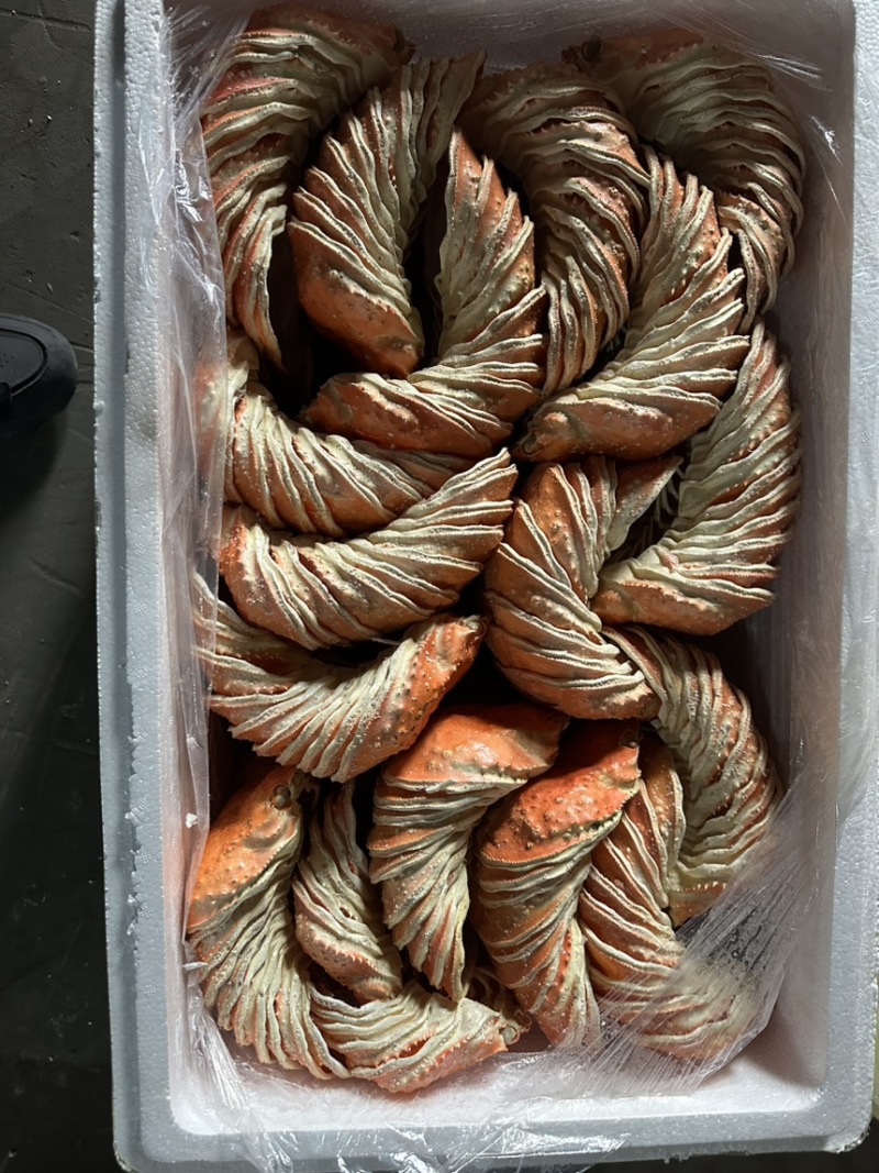 蟹壳，鳕蟹壳，帝王蟹壳，红蟹壳批发