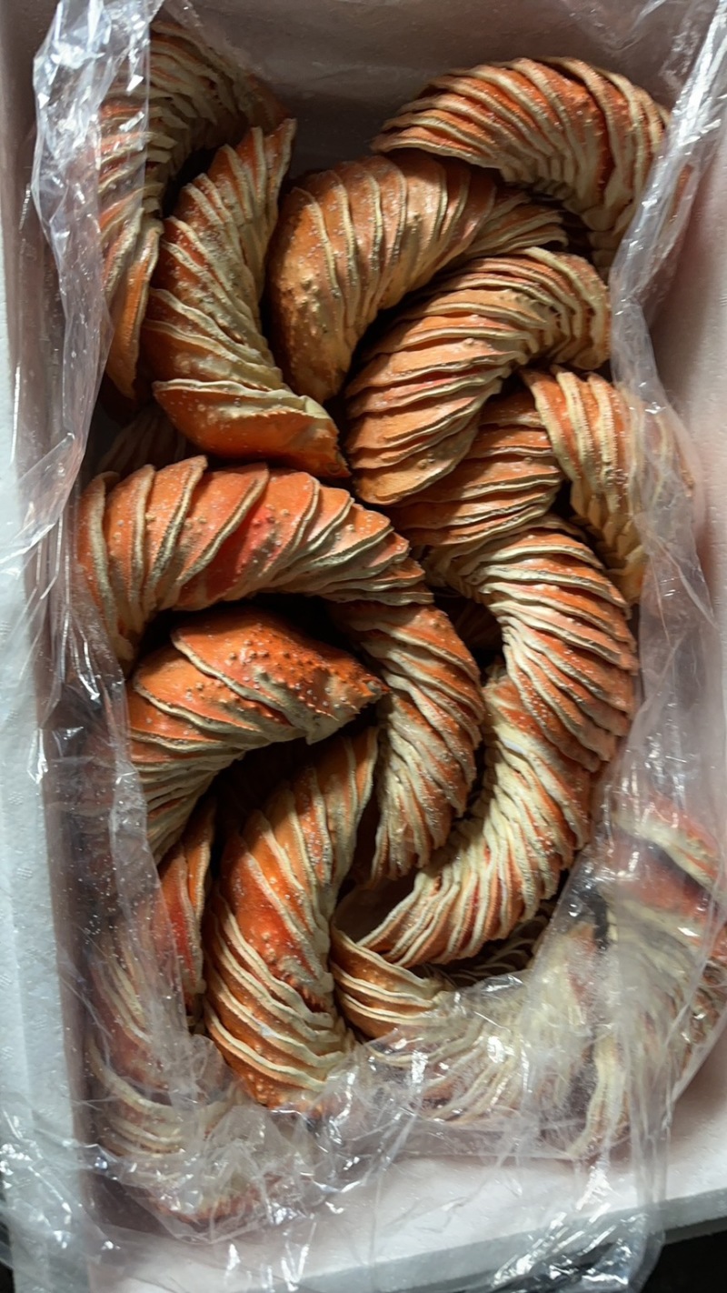 蟹壳，鳕蟹壳，帝王蟹壳，红蟹壳批发