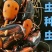 高蛋白，竹笋虫