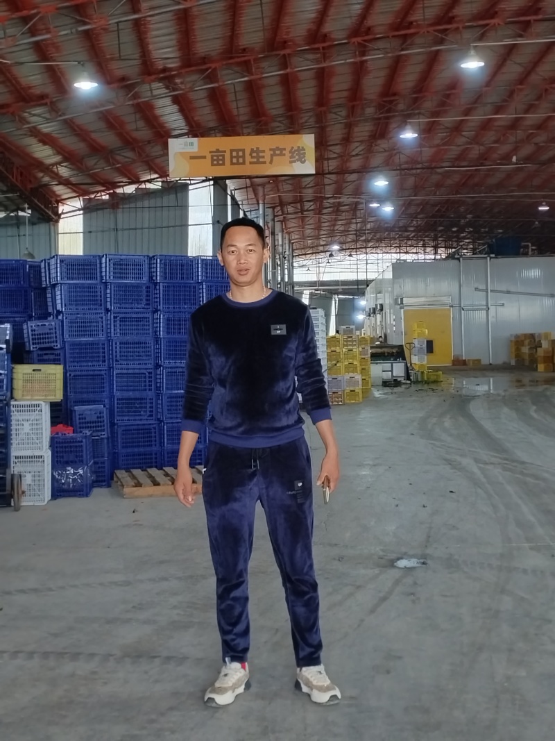来宾沙糖桔，全国发货，量大从优，甜度高，汁水充足