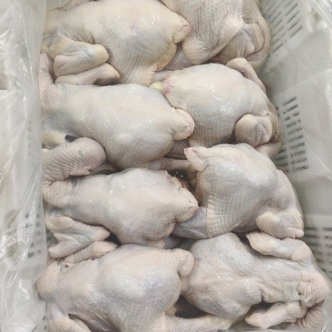 鲜品三黄鸡