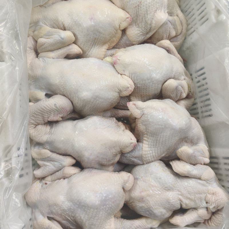 鲜品三黄鸡