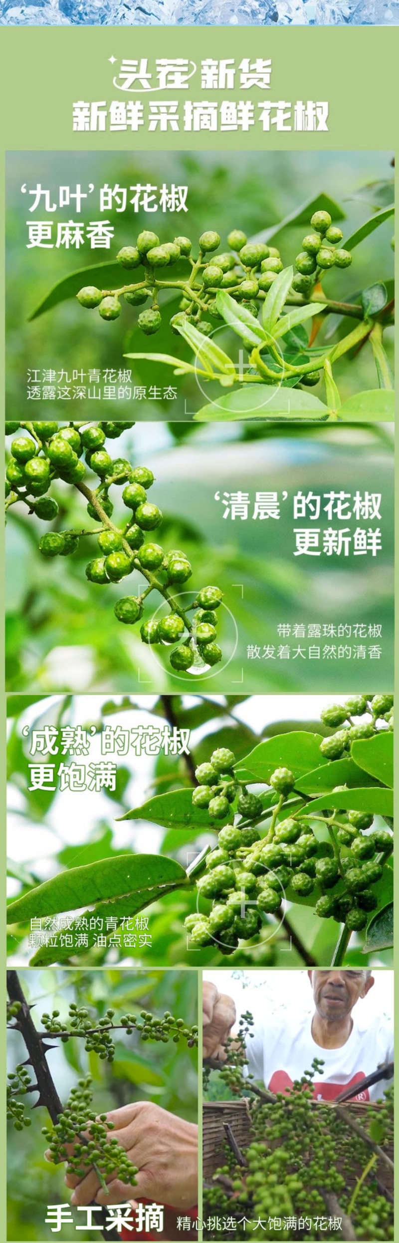 青花椒新鲜350g冷冻保鲜麻椒江津现摘真空青藤椒特产九叶